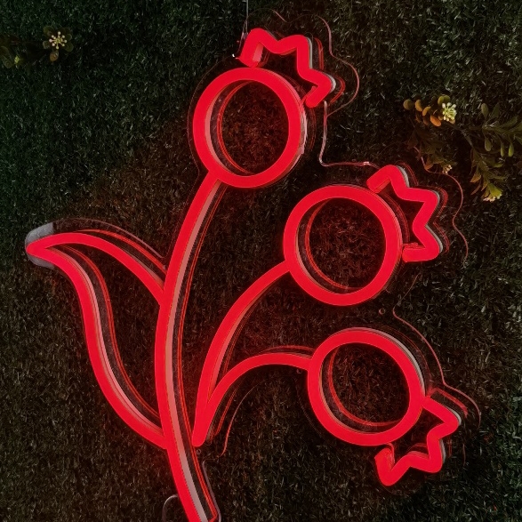 រូបភាព 12